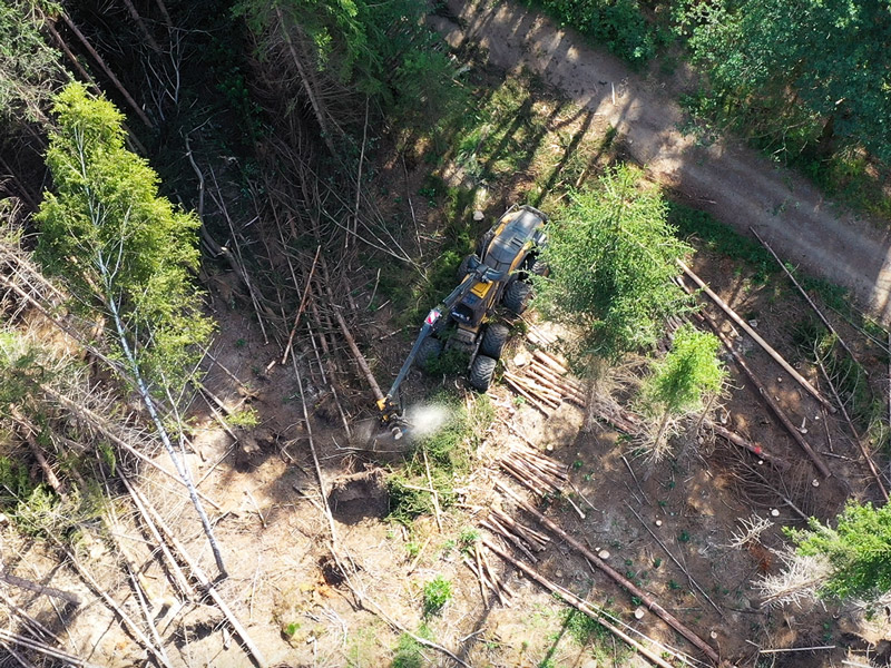 Drohnenaufnahmen bei Forstarbeiten Bergisches Land